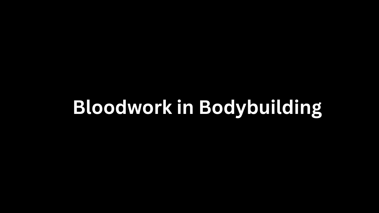 Bloodwork in Bodybuilding: Beyond the Basics