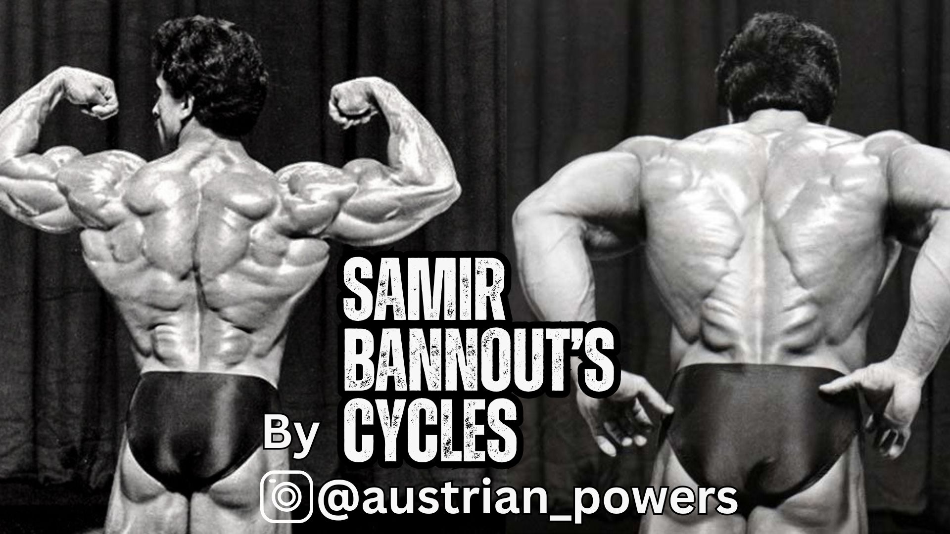 Samir Bannout’s Steroid Cycles: Pre-Contest and Offseason Protocols